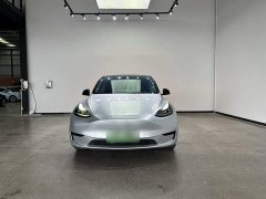 Tesla Model Y Rear-Wheel Drive - ფოტო 4