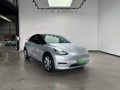 Tesla Model Y Rear-Wheel Drive - ფოტო 5