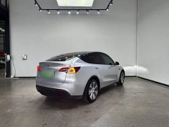 Tesla Model Y Rear-Wheel Drive - ფოტო 9