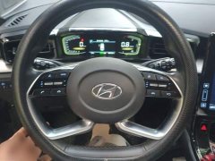 Hyundai Cosworth 2021 270TGDi Luxury Edition LUX - ფოტო 13