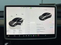 Tesla Model Y Rear-Wheel Drive - ფოტო 12