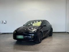 Tesla Model Y Rear-Wheel Drive - ფოტო 3