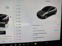 Tesla Model Y Rear-Wheel Drive - ფოტო 5