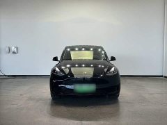 Tesla Model Y Rear-Wheel Drive - ფოტო 6