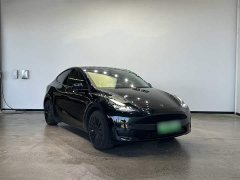 Tesla Model Y Rear-Wheel Drive - ფოტო 7