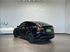 Tesla Model Y Rear-Wheel Drive - ფოტო 9