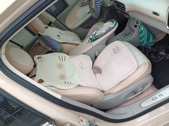 Ora Ballet Cat 2022 401km Nutcracker Edition - ფოტო 20