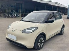 Wuling Binguo 2025 333km Lingxi Premium Edition - ფოტო 1