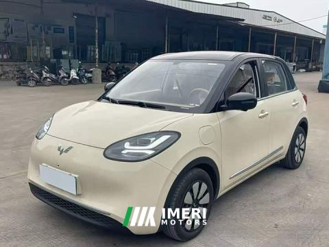 2026 Wuling Binguo 333km Lingxi Premium Edition