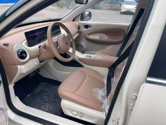 Wuling Binguo 2025 333km Lingxi Premium Edition - ფოტო 13