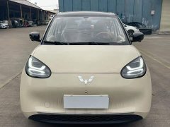 Wuling Binguo 2025 333km Lingxi Premium Edition - ფოტო 6