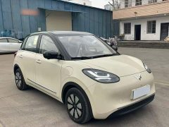 Wuling Binguo 2025 333km Lingxi Premium Edition - ფოტო 7