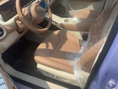 Wuling Binguo 333km Lingxi Premium Edition - ფოტო 10