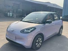 Wuling Binguo 333km Lingxi Premium Edition - ფოტო 2