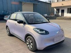 Wuling Binguo 333km Lingxi Premium Edition - ფოტო 7