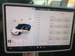 Tesla Model 3 Rear-Wheel Drive - ფოტო 8