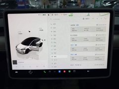Tesla Model 3 Rear-Wheel Drive - ფოტო 9