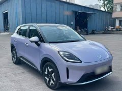 Wuling Bingo S 325km Flagship - ფოტო 10