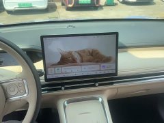 Wuling Bingo S 325km Flagship - ფოტო 8