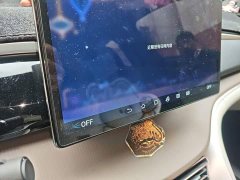 BYD Song Pro New Energy DM-i 51km Premium - ფოტო 10