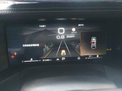 Tank 300 2023 Off-Road Edition 2.0T Conqueror - ფოტო 8