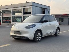 Wuling Binguo 333km Joy Edition - ფოტო 1