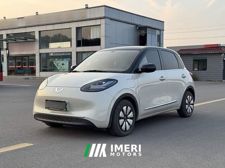 Wuling Binguo 333km Joy Edition