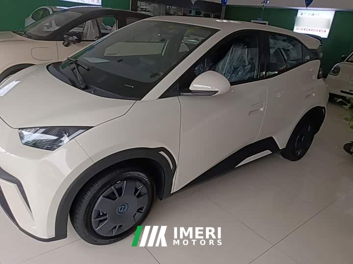 BYD Seagull 305km Vitality Edition - ავტომობილი ჩინეთიდან