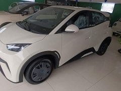 BYD Seagull 305km Vitality Edition - ფოტო 1