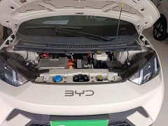 BYD Seagull 305km Vitality Edition - ფოტო 16