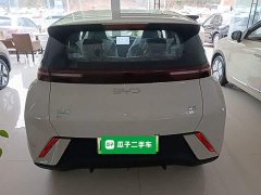 BYD Seagull 305km Vitality Edition - ფოტო 4