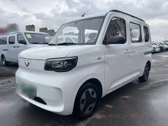 Wuling Zhiguang New Energy 305km Aspiring Edition - ფოტო 1