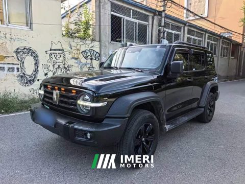 2023 Tank 300 Off-Road Edition 2.0T Conqueror - ავტომობილი ჩინეთიდან