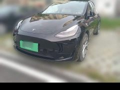 Tesla Model Y Rear-Wheel Drive - ფოტო 15