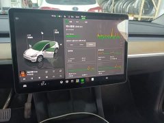 Tesla Model Y Rear-Wheel Drive - ფოტო 6