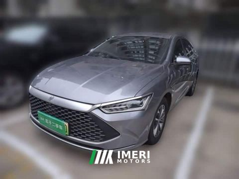 2024 BYD Qin PLUS Champion Edition DM-i 55KM Leading
