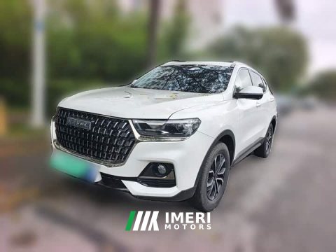 2023 Haval H6 National Trend Edition 1.5T Automatic Urban Version - ავტომობილი ჩინეთიდან