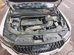 Haval H6 National Trend Edition 1.5T Automatic Urban Version - ფოტო 11