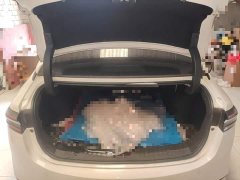 GAC AION S Plus 80 Extended Range Version - ფოტო 10