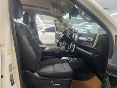 Great Wall Dachshund 2.0T DCT Four-wheel Drive Howling Heavenly Dog Edition - ფოტო 3