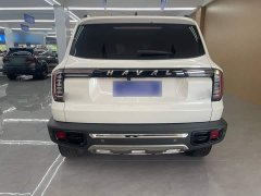 Great Wall Dachshund 2.0T DCT Four-wheel Drive Howling Heavenly Dog Edition - ფოტო 8