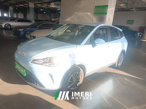 2024 Neta AYA 2023 318 Lite - ავტომობილი ჩინეთიდან