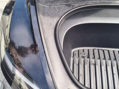 Tesla Model 3 Rear-Wheel Drive - ფოტო 20