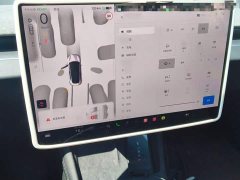 Tesla Model 3 Rear-Wheel Drive - ფოტო 4