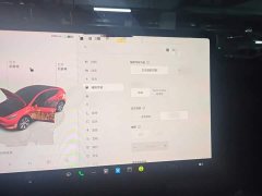 Tesla Model Y 2022 Facelift Rear-Wheel Drive - ფოტო 19