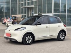Wuling Binguo 2023 333km Joy Edition - ფოტო 1