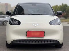 Wuling Binguo 2023 333km Joy Edition - ფოტო 12