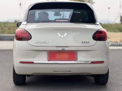 Wuling Binguo 2023 333km Joy Edition - ფოტო 13