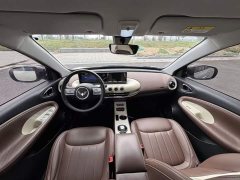 Wuling Binguo 2023 333km Joy Edition - ფოტო 14