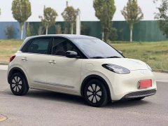 Wuling Binguo 2023 333km Joy Edition - ფოტო 9